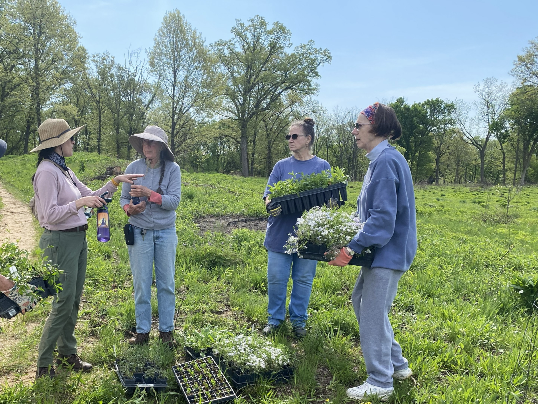 Volunteer Plug Planting at the Dixon Waterfowl Refuge