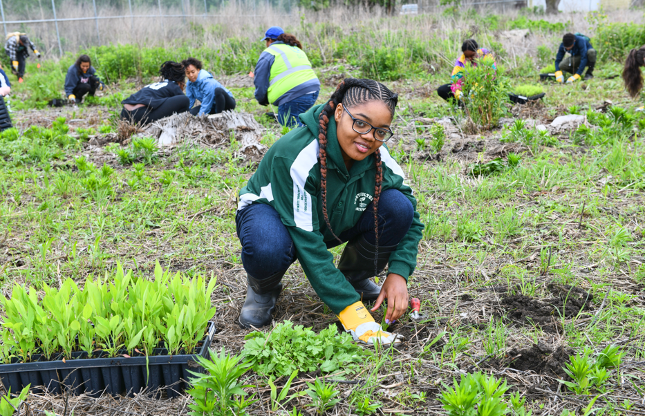 Volunteer Plug Planting at Highland Rookery (Highland, IN)