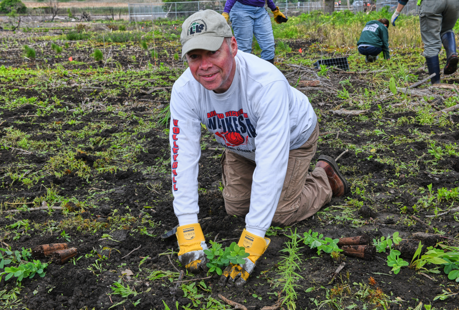 Volunteer Plug Planting at MLK South Wetland (Gary, IN)