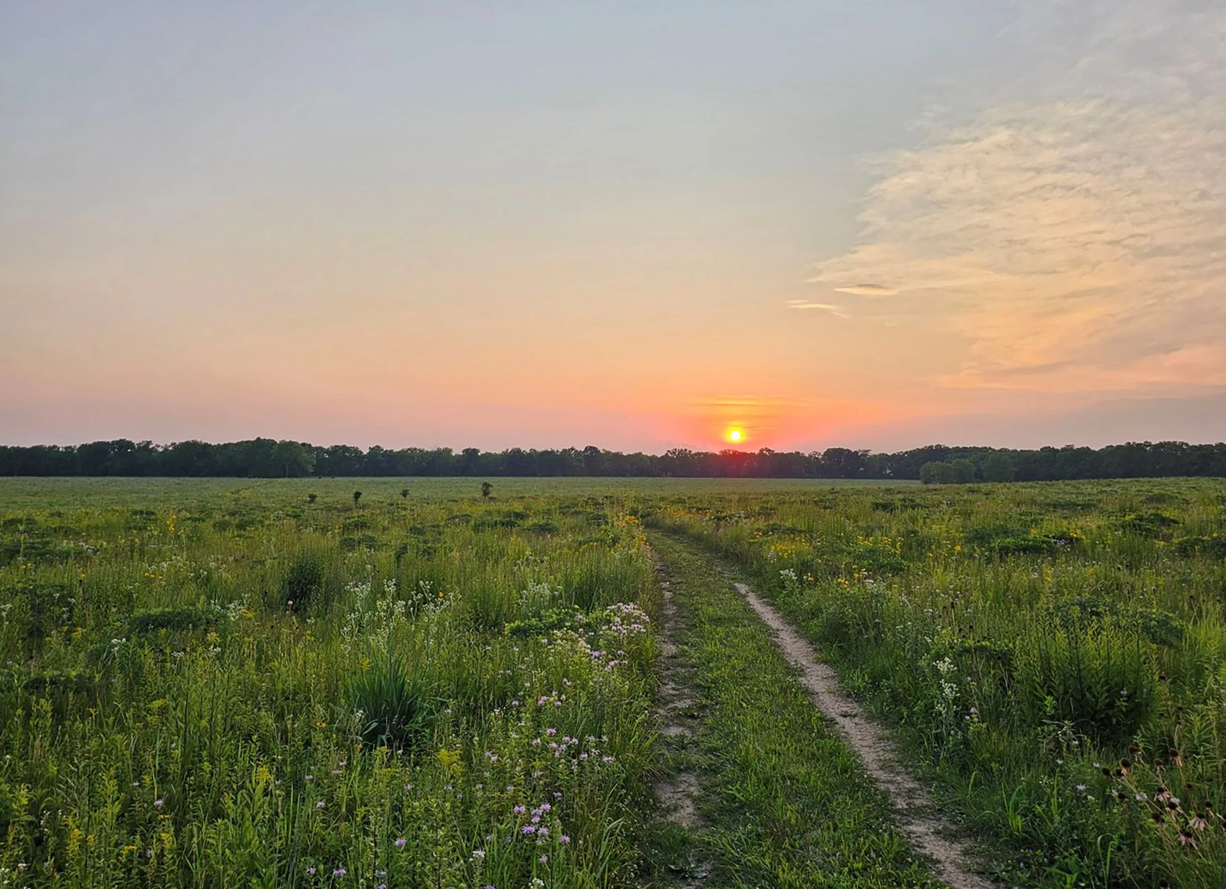 Seeds at Sunset: Volunteer Native Seed Harvest at the Dixon Waterfowl Refuge