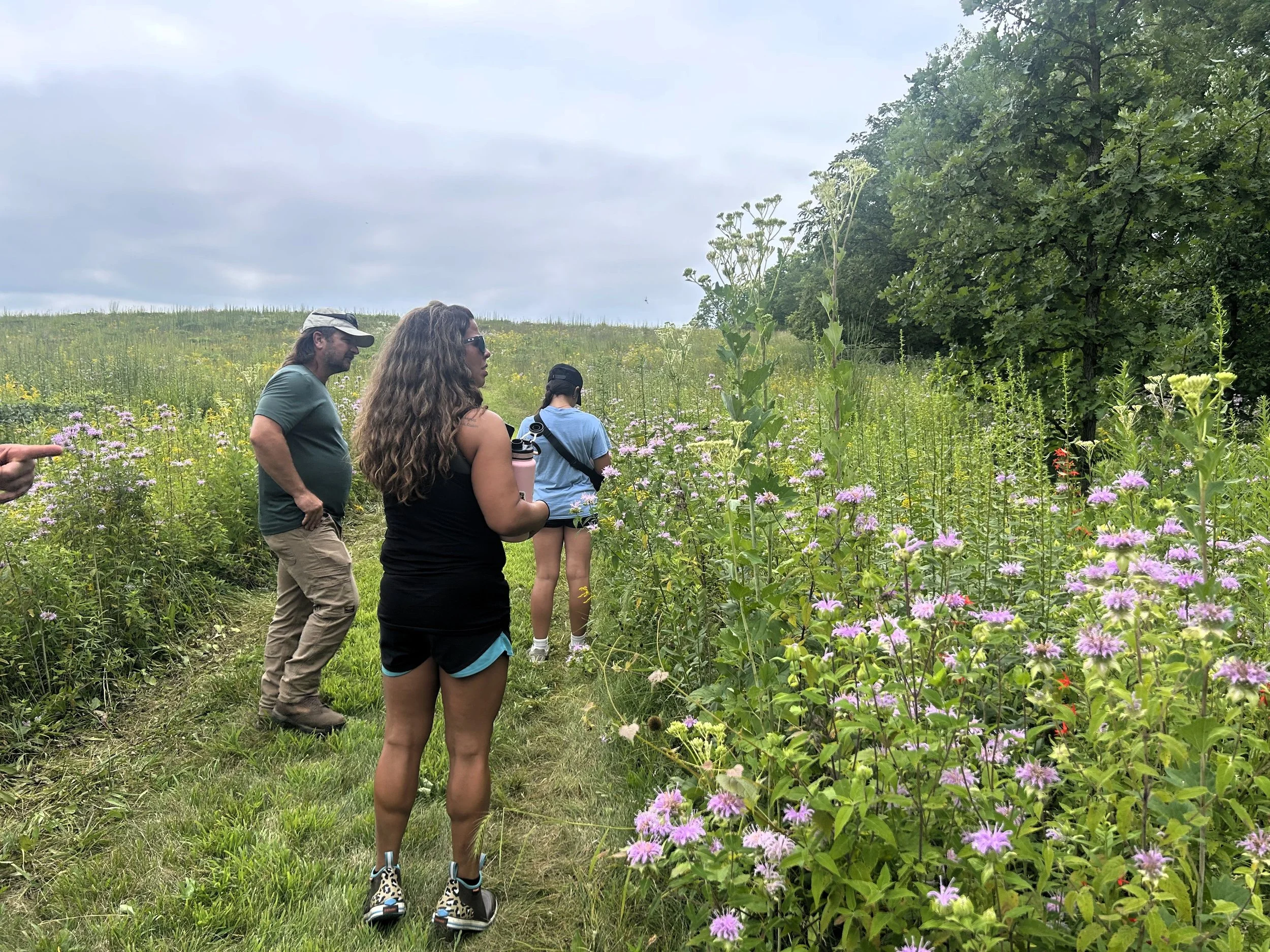 Seeds at Sunset: Volunteer Native Seed Harvest at the Dixon Waterfowl Refuge