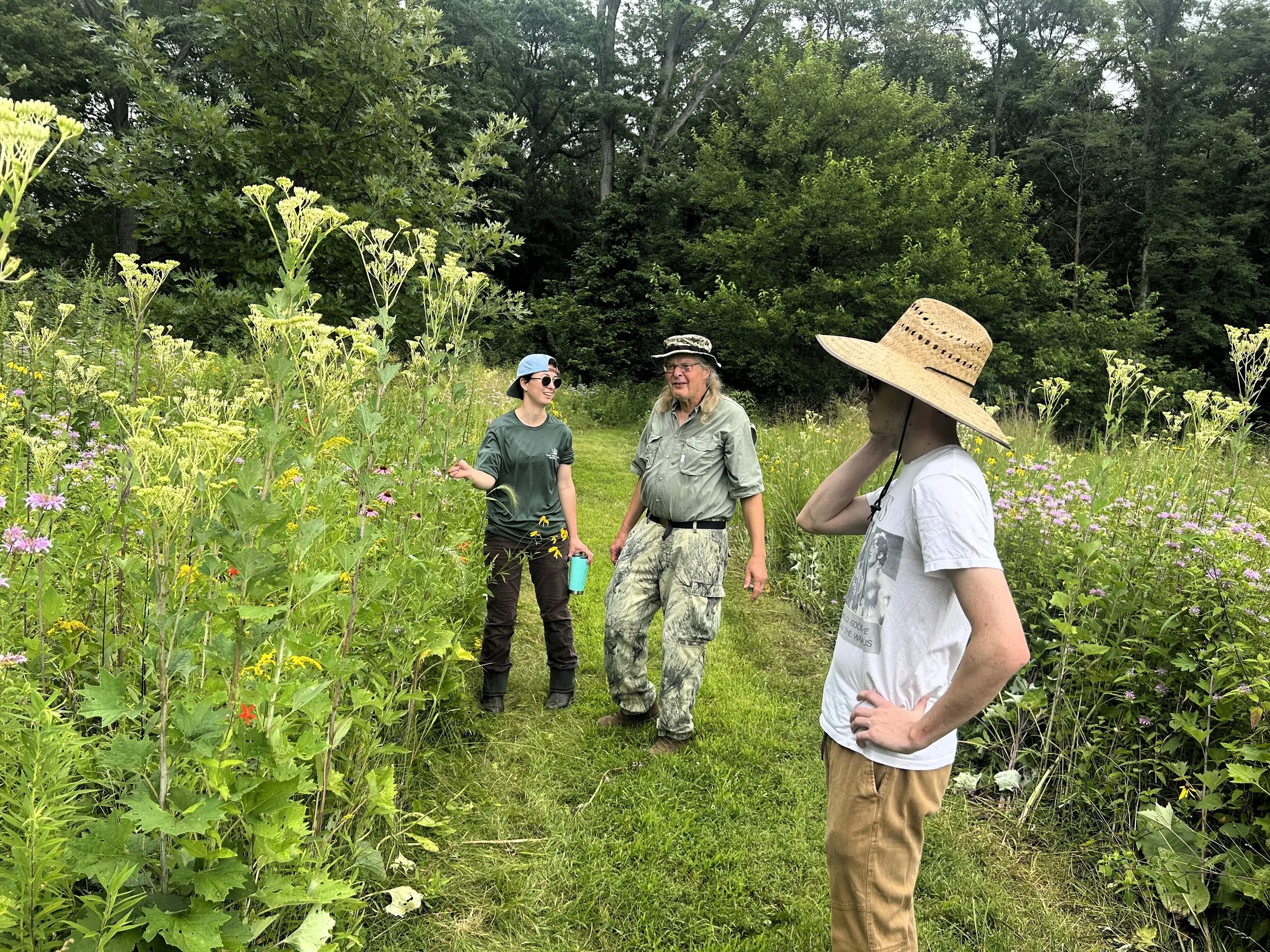 A.M. Harvest: Volunteer Native Seed Harvest at the Dixon Waterfowl Refuge