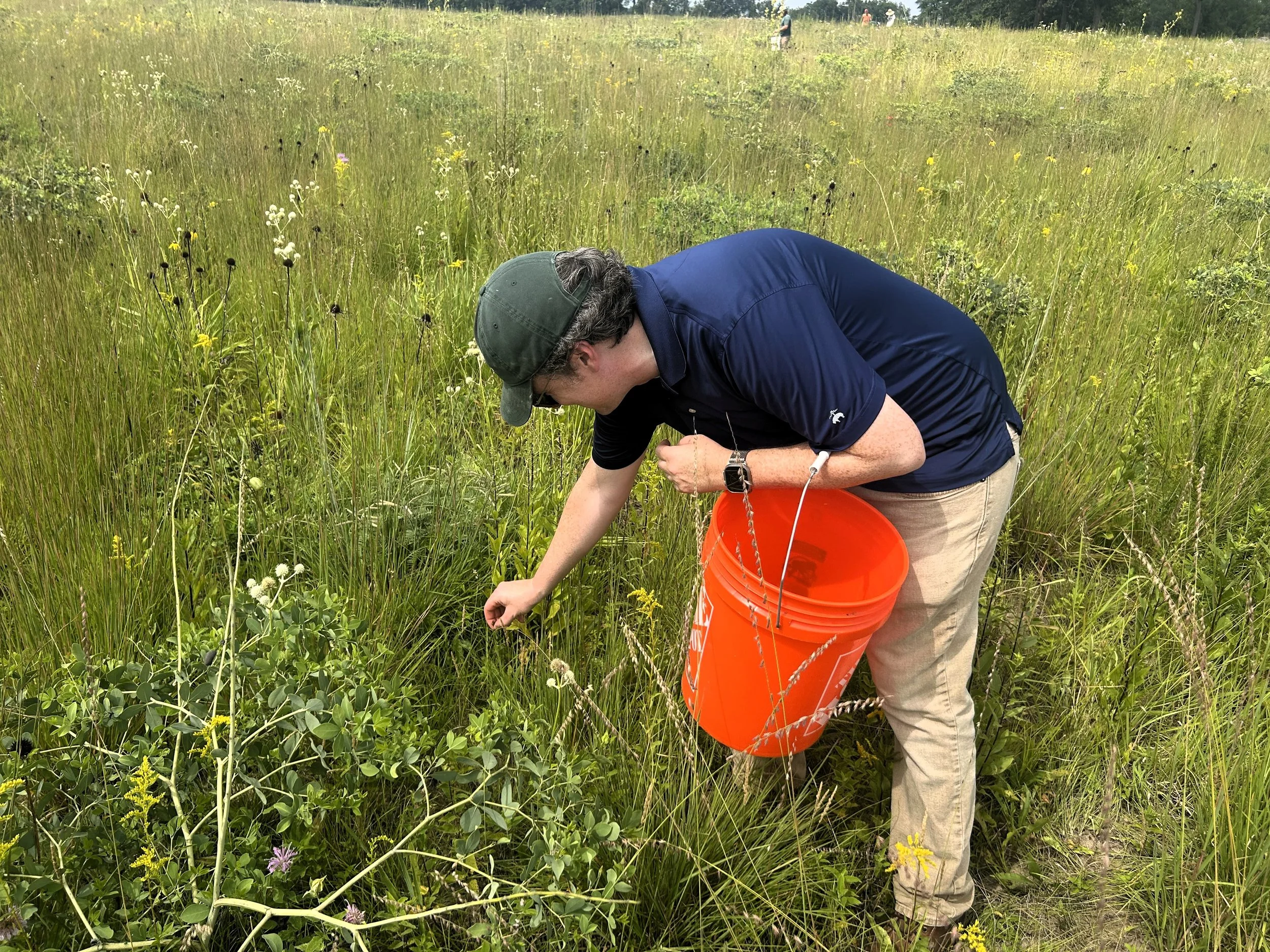 Seeds at Sunset: Volunteer Native Seed Harvest at the Dixon Waterfowl Refuge