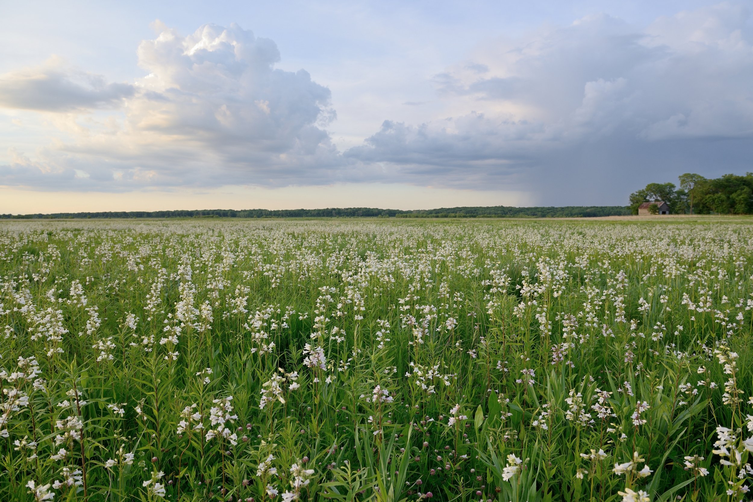 Board of Directors resized.jpg