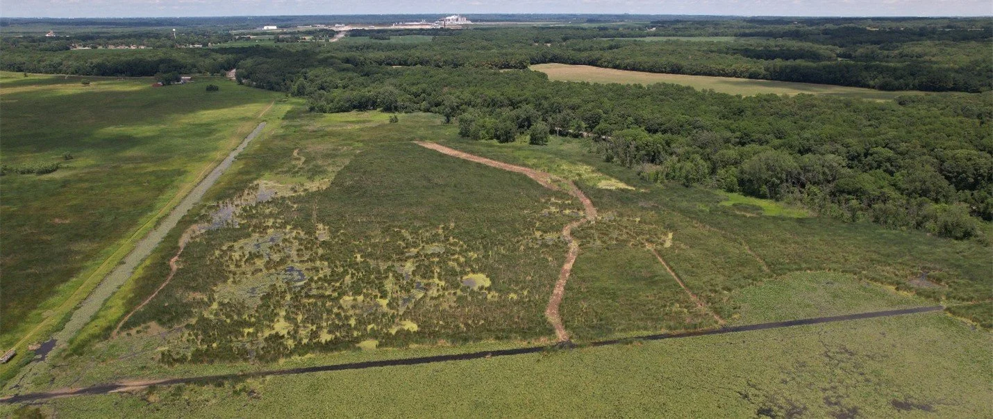 Curtailing Example Curtailing Cattails — The Wetlands Initiative