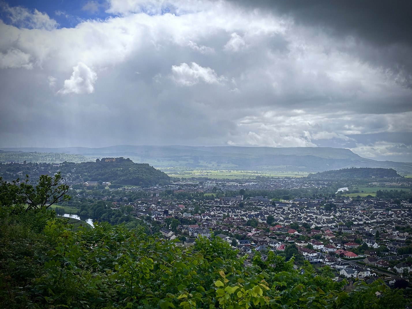 alt-25-7985-stirWal.jpg
