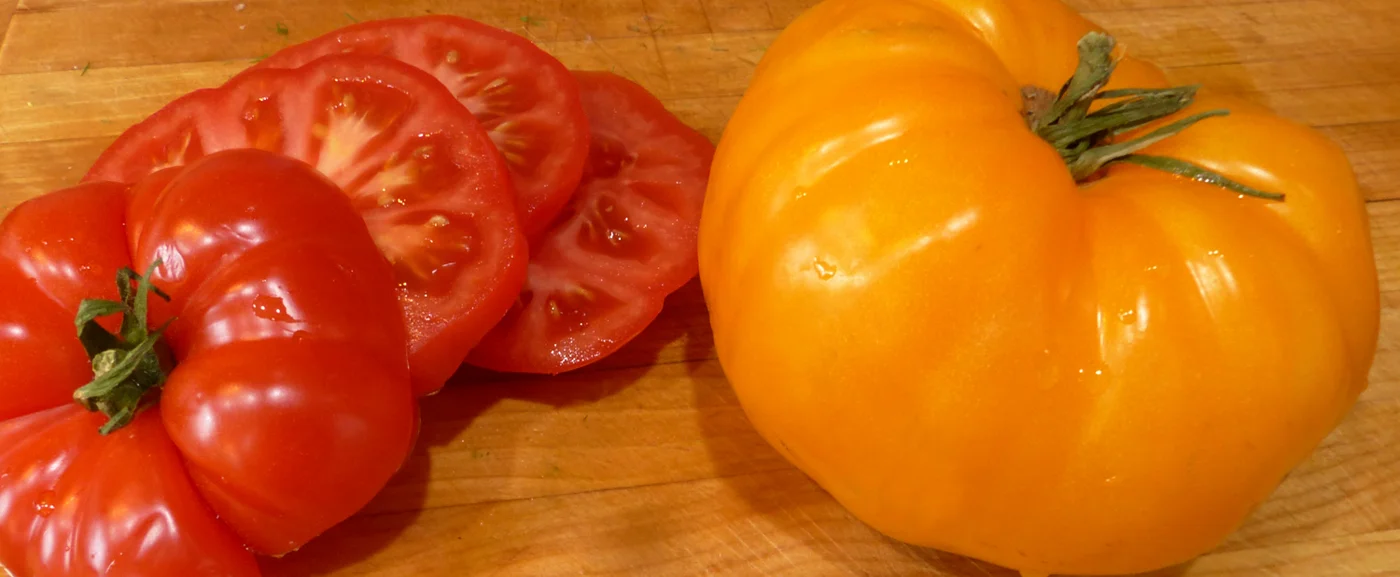 tomatoes.jpg