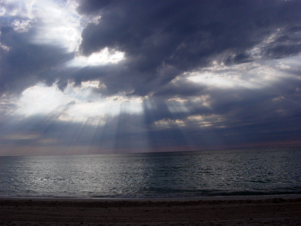 Morning Glory