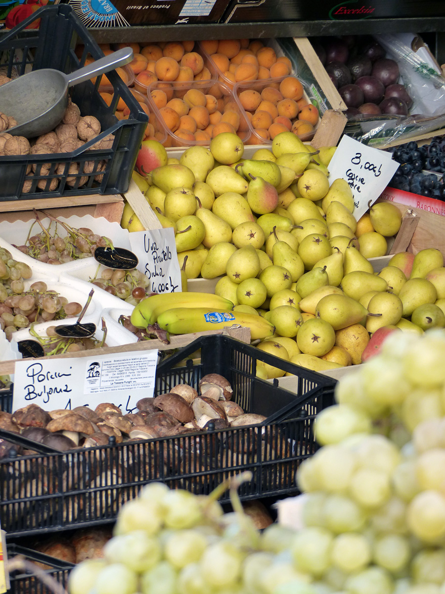 Abundance in Florence, Italy