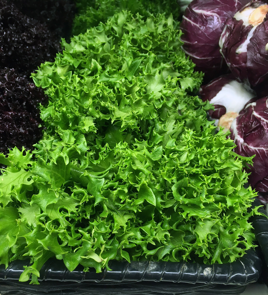 Tango Baby Lettuce
