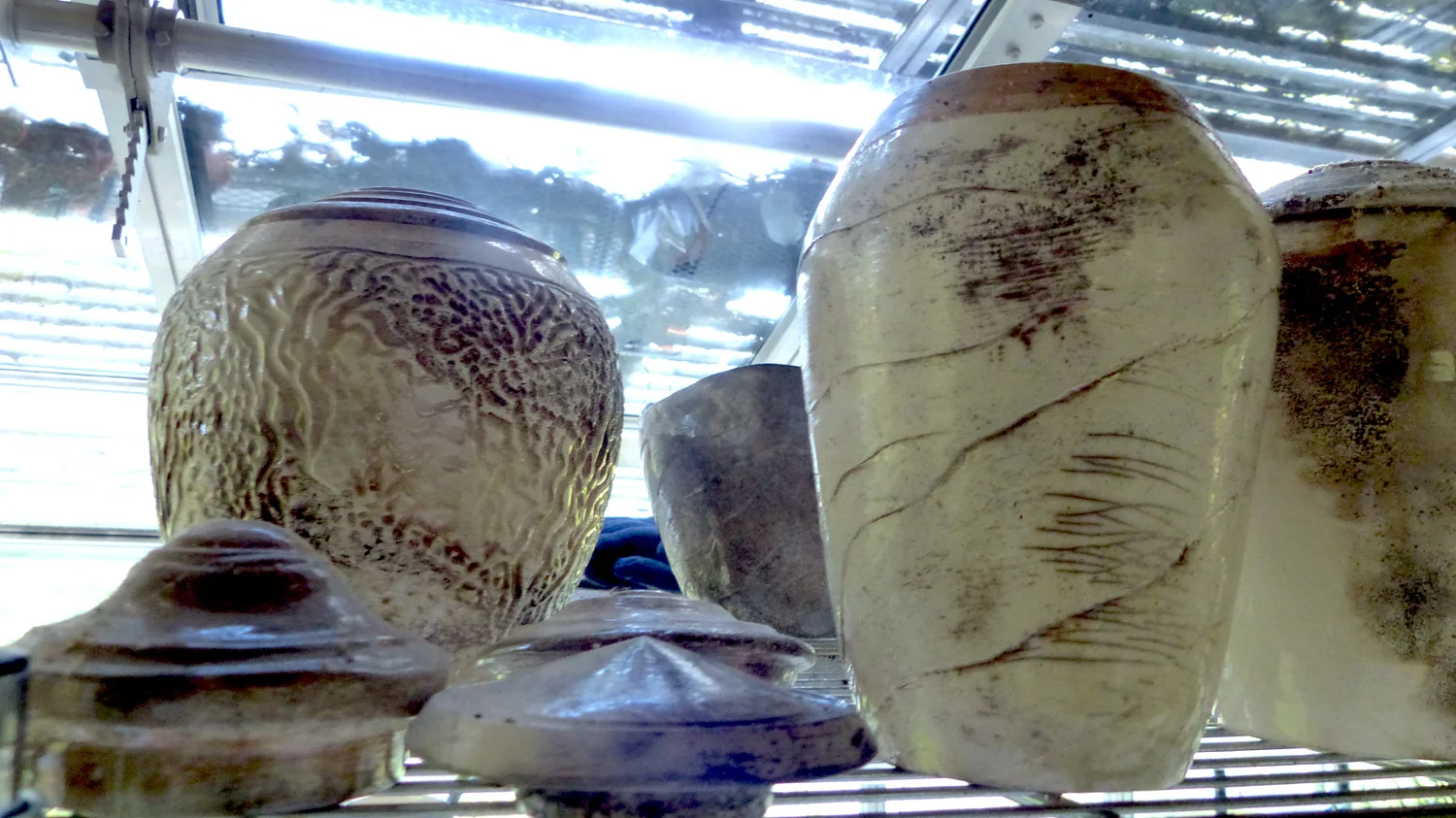 Earthy and organic shapes