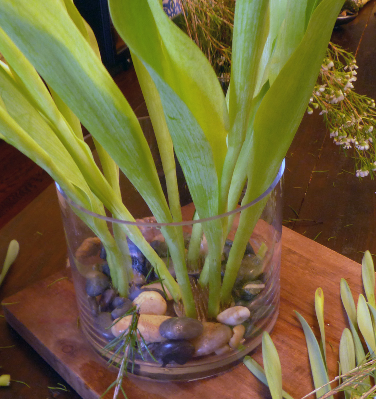 Push the stems into the frog prongs.