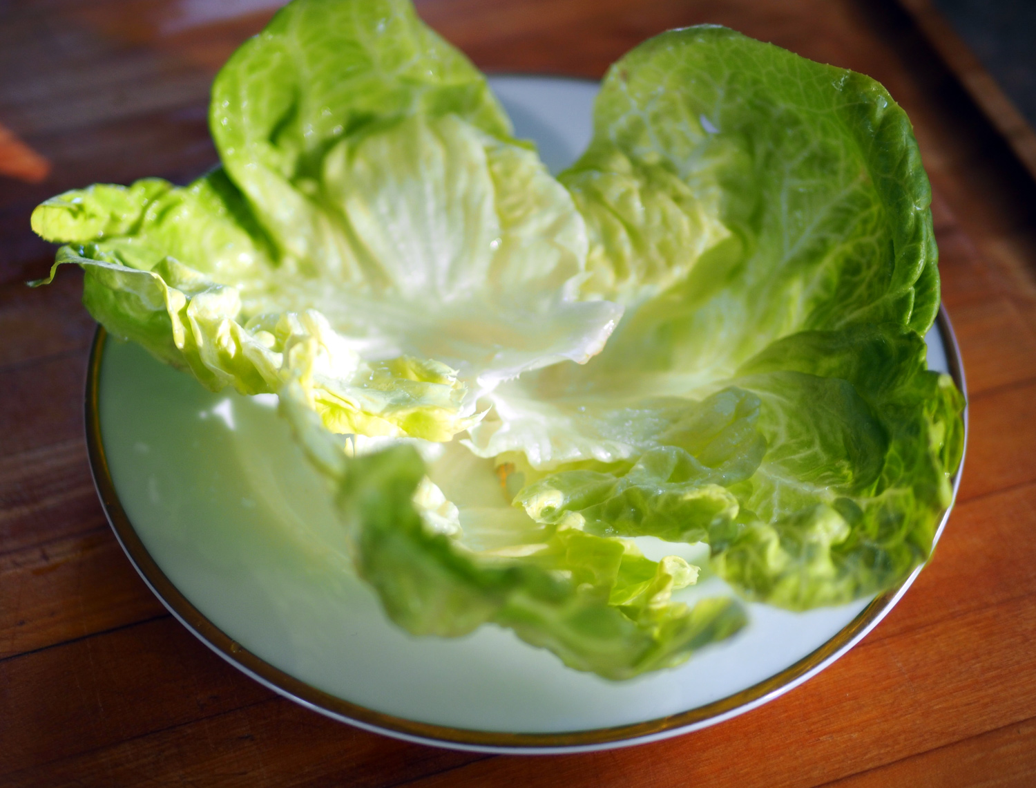 Lettuce bowl