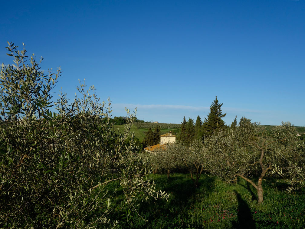 The view hilltop to our villa. No other description necessary.