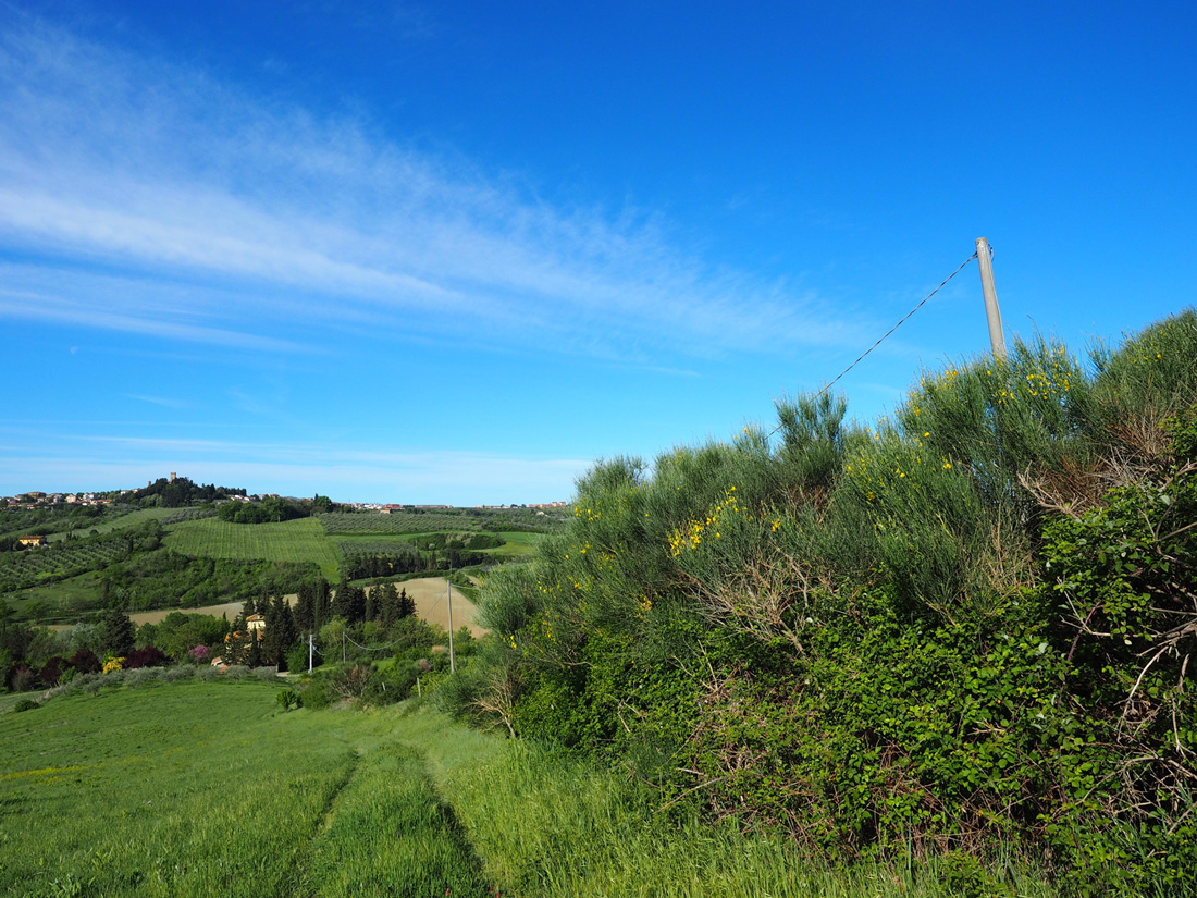 On the hilltop above our villa. See the yellow house on the bottom left? That's where I made pasta.