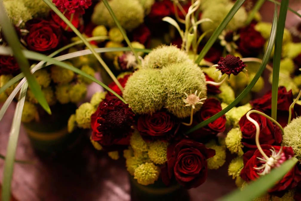 Roses and Dianthus