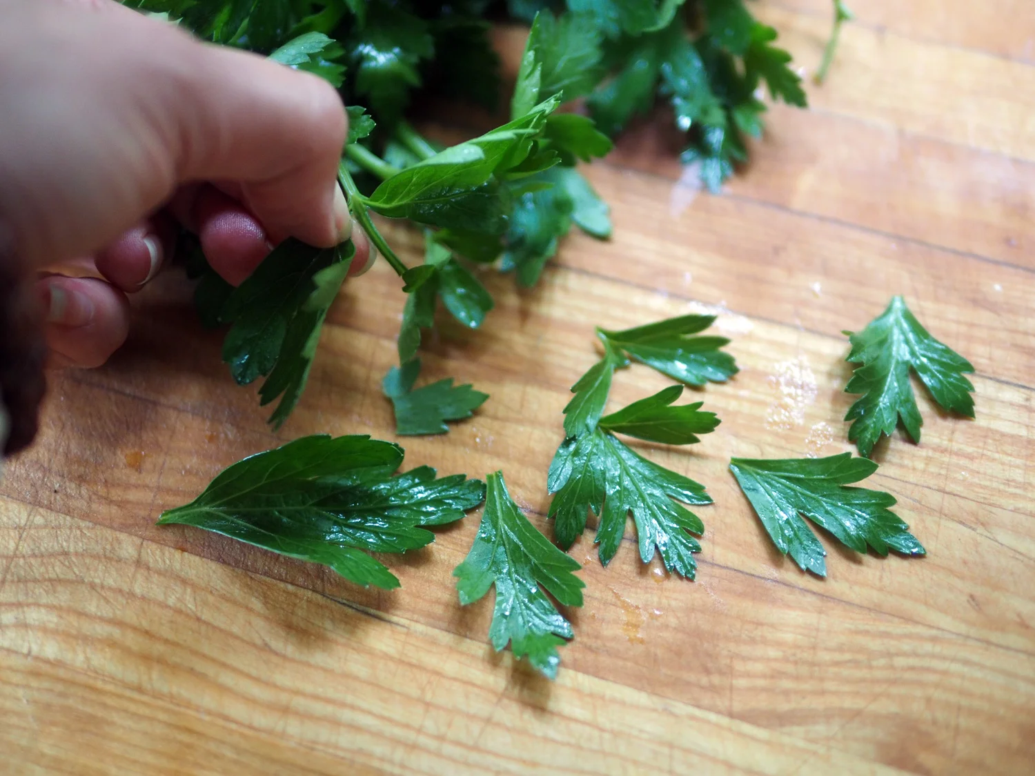 parsley.leaves.jpg