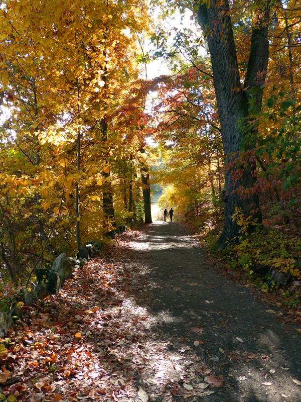 A colorful stoll
