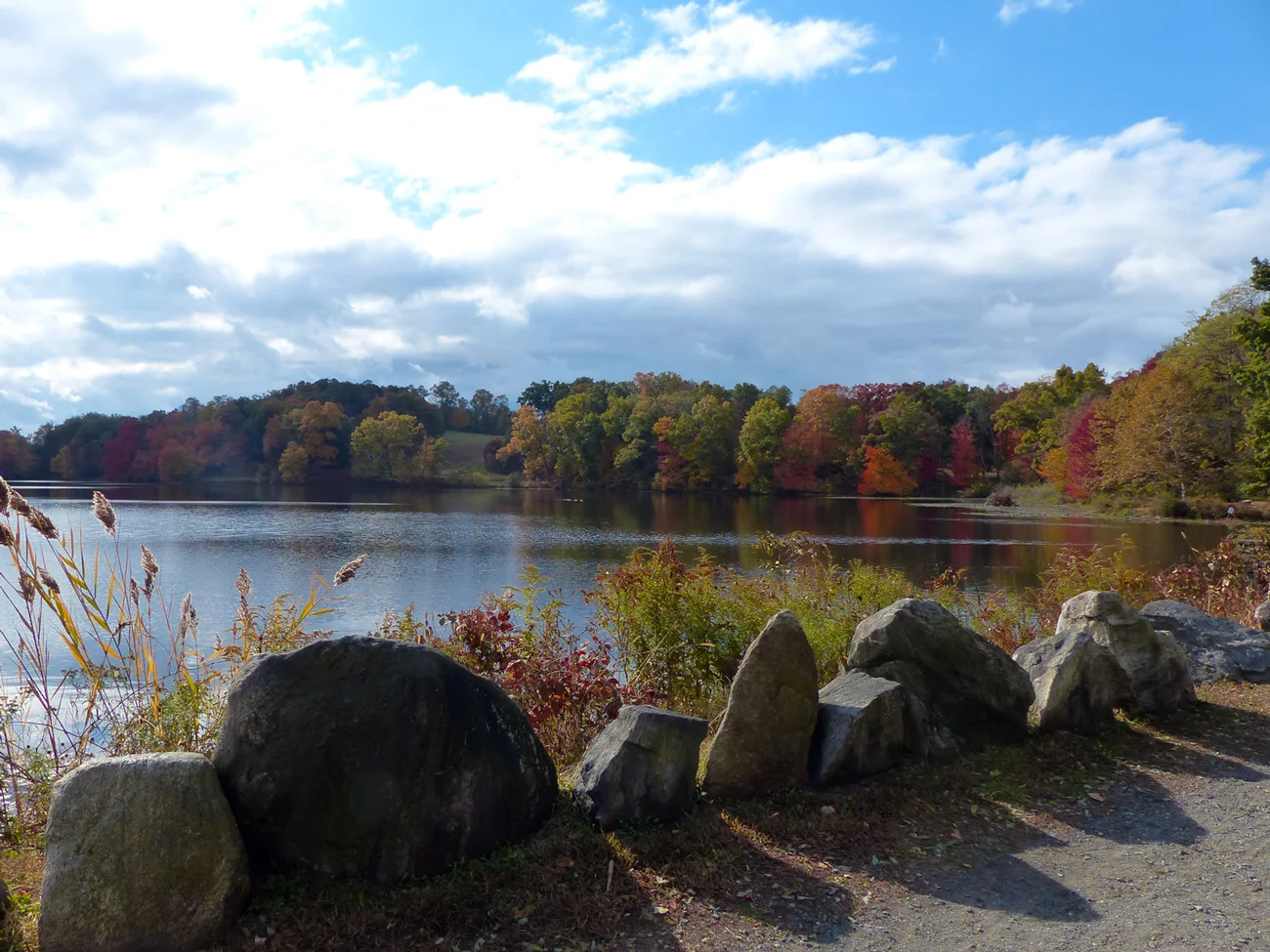 On our familiar path at Rockefeller Park
