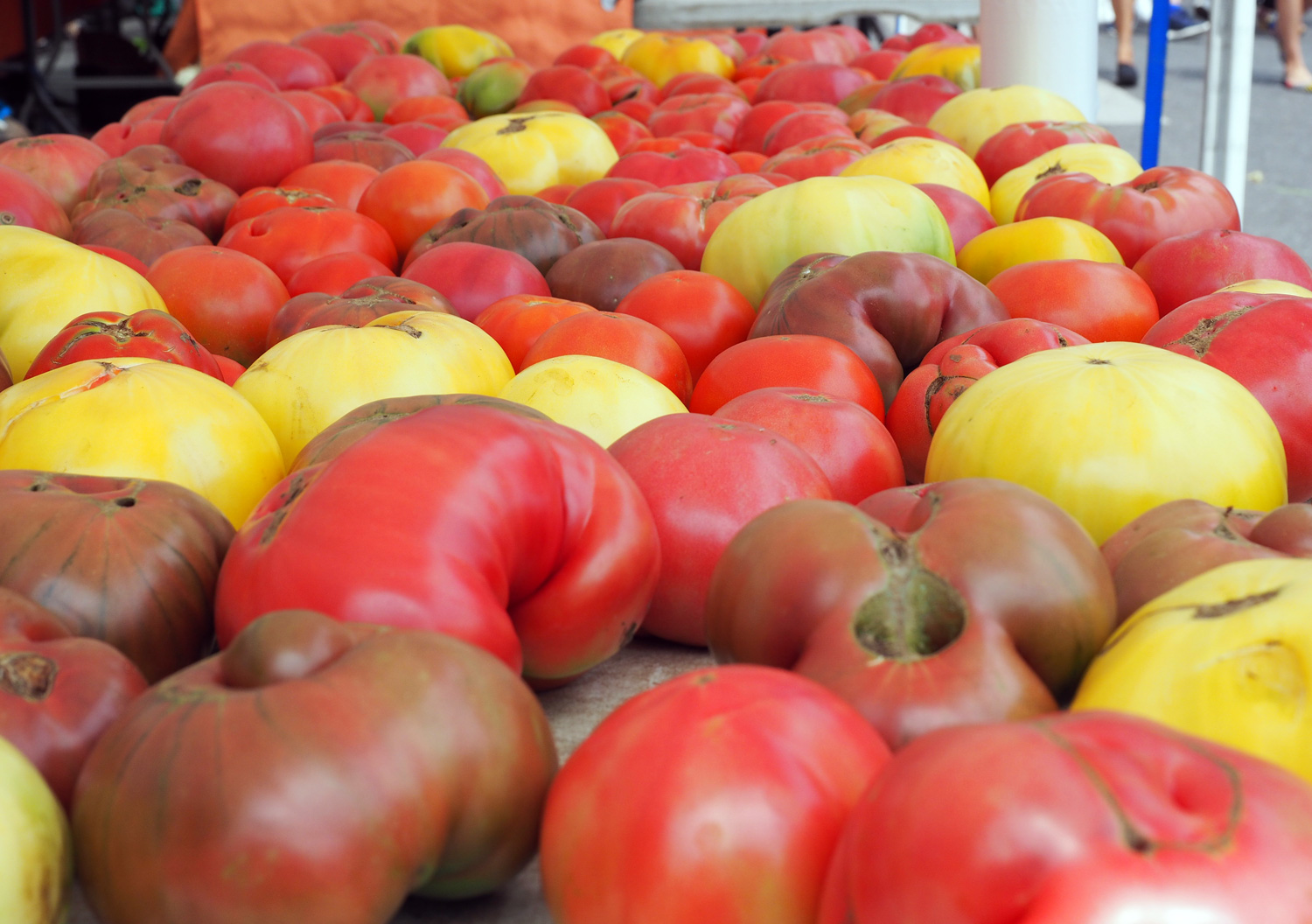 heirloom.tomatoes.jpg