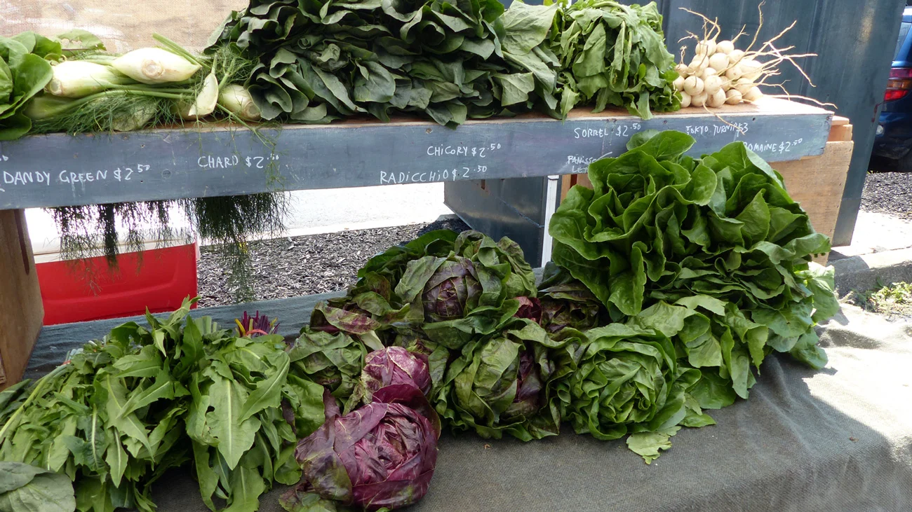 Greens at the market in Hudson, NY