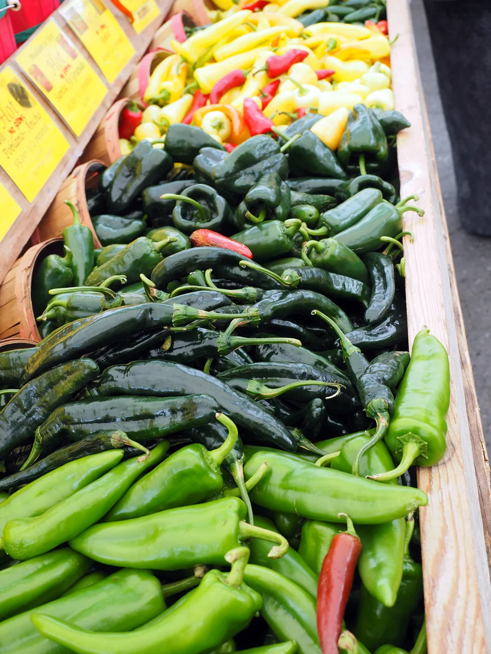 A length of peppers from which to choose at the Union Square Market in NYC