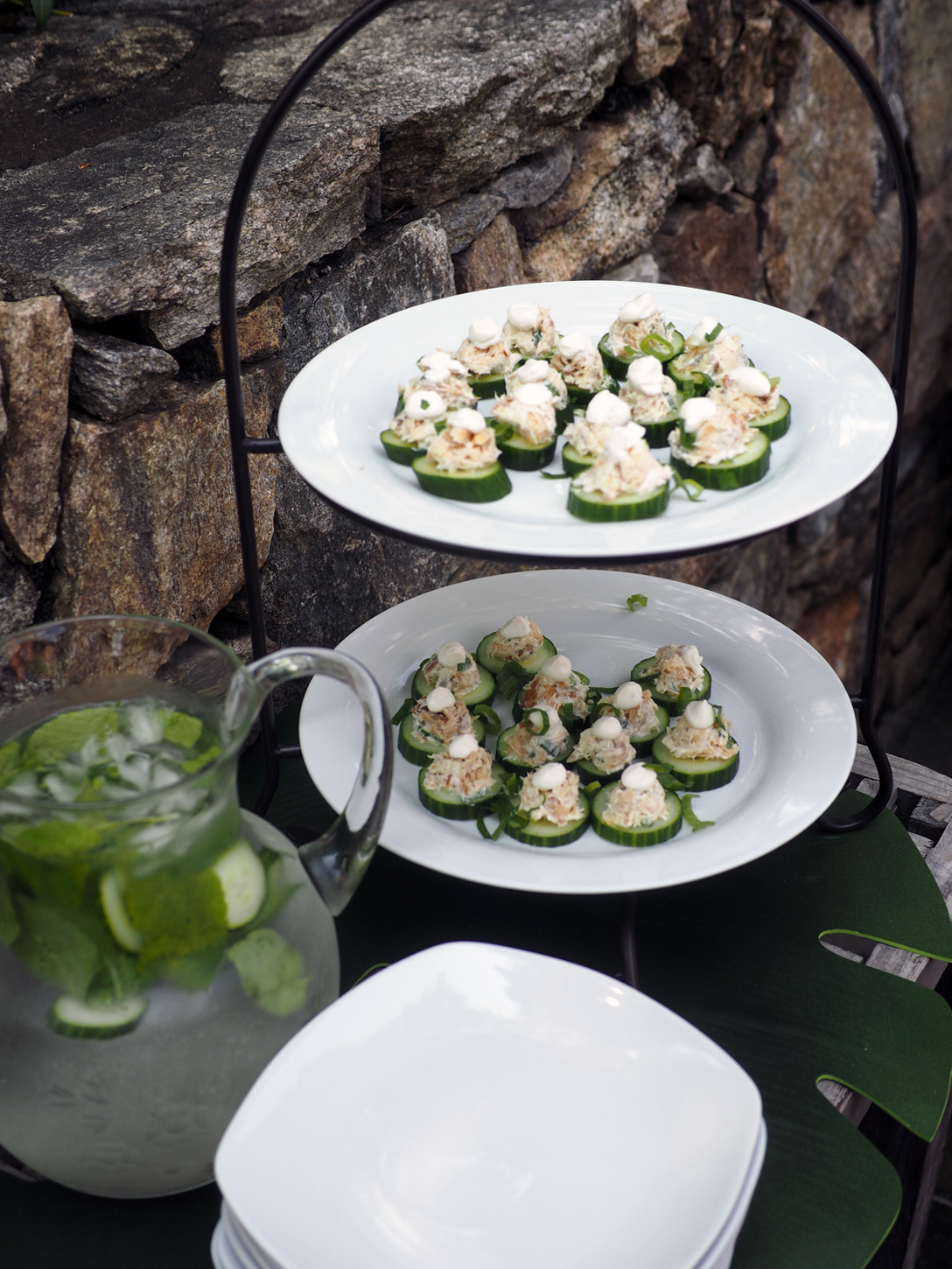 final.cucumber.tierstand.jpg