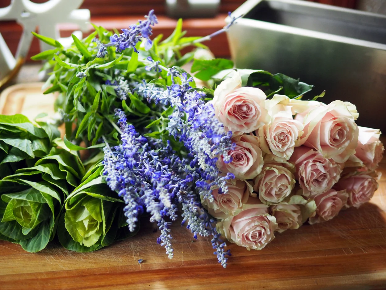 Kale Cabbage stems, Salvia, Roses, patiently waiting their purpose.