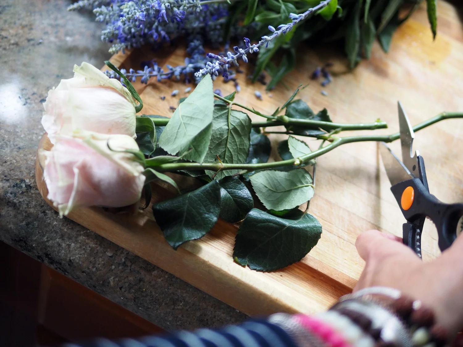 Using my first rose to guide me for all the rest.