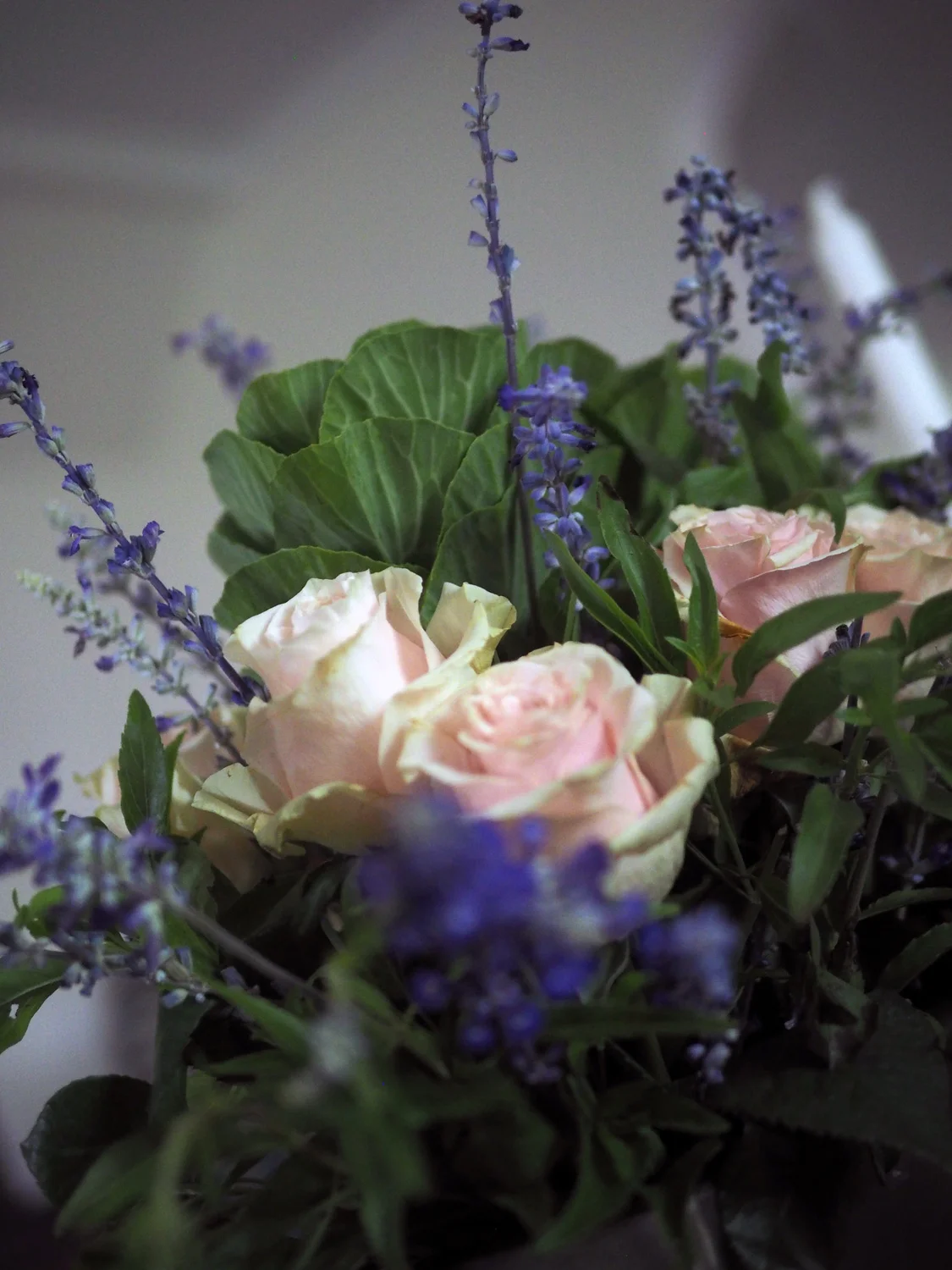 roses.cu3.jpg