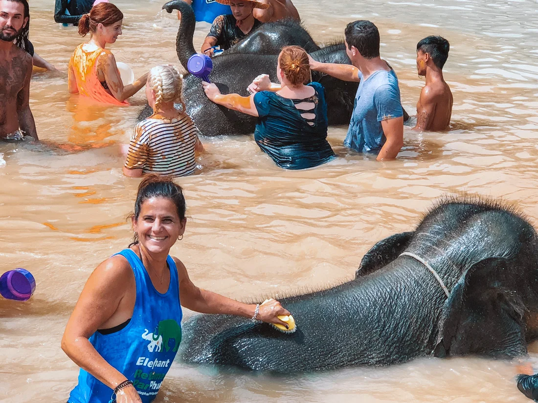 jill.elephant.jpg