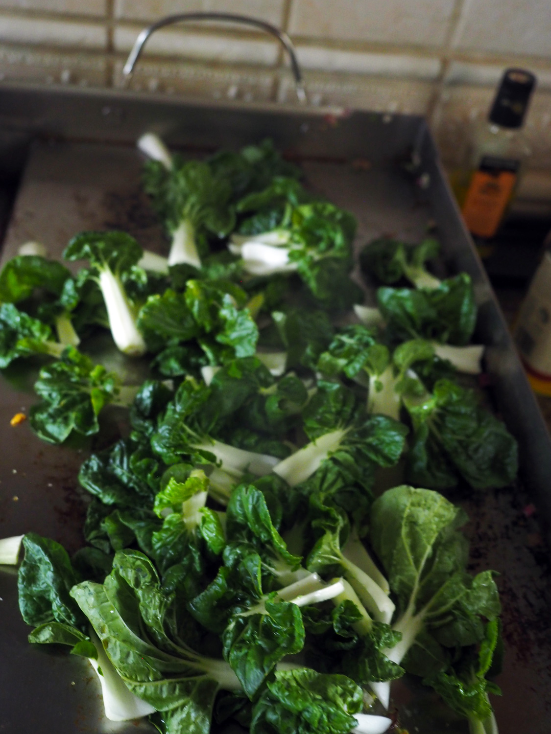 Bok Choy, bright green and vibrant.