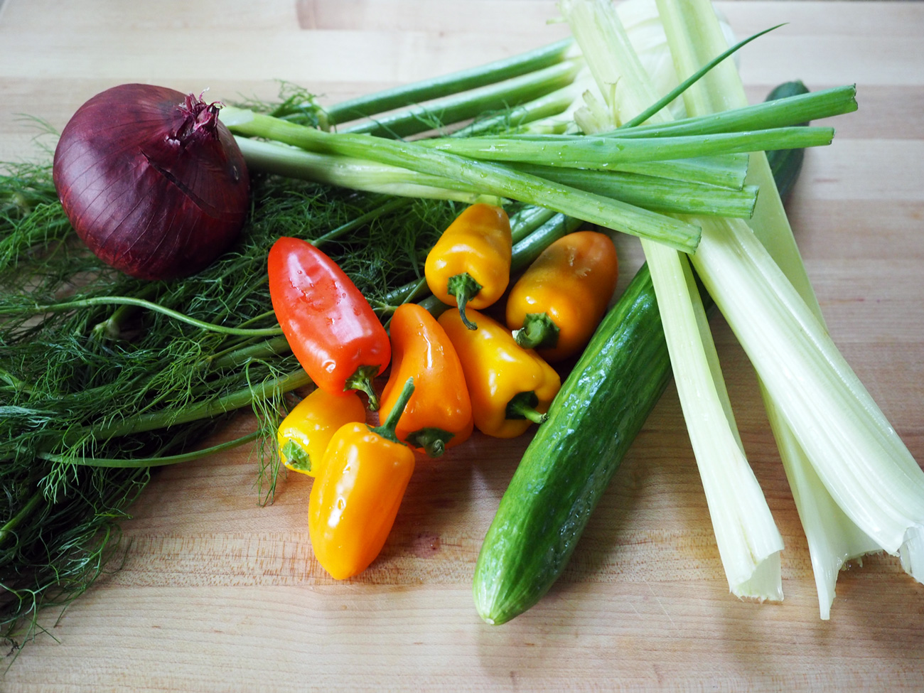 The line up: Fennel, red onion, scallions, mini bell peppers, English cucumber, celery.