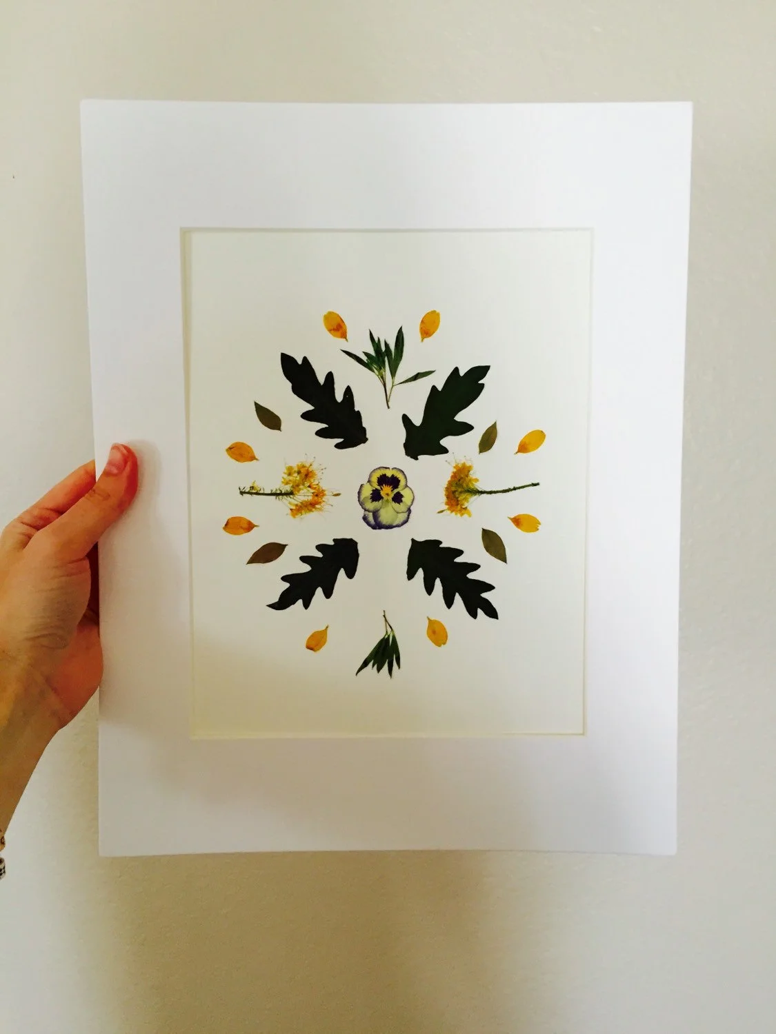 Floral Mandala Floral Specimen Art from Glass House