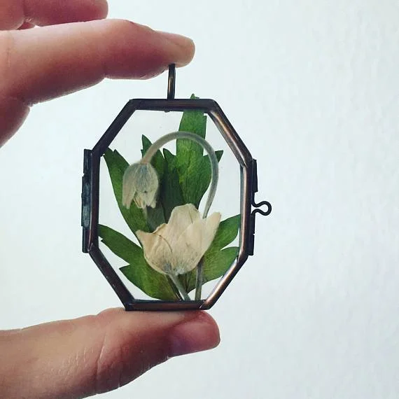 Glass House Collection