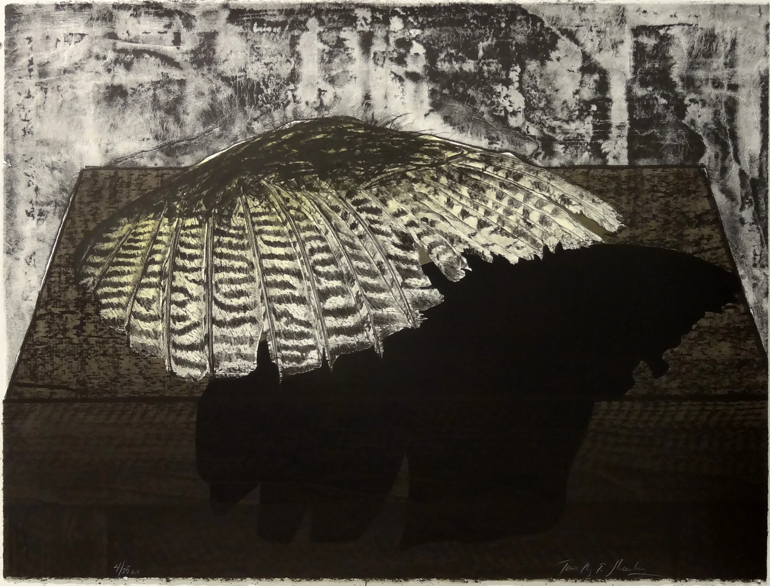 3.Shadow Cabinet, T.Sheesley, litho. 22x30, 2008.jpg