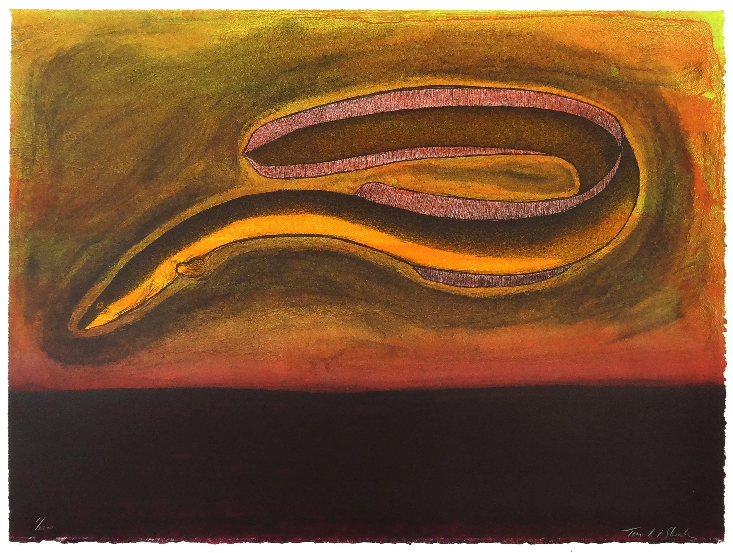 1,T.Sheesley,%22Sargasso Eel%22, 1-22ev.,lithograph 2024 18%22x24%22.jpg