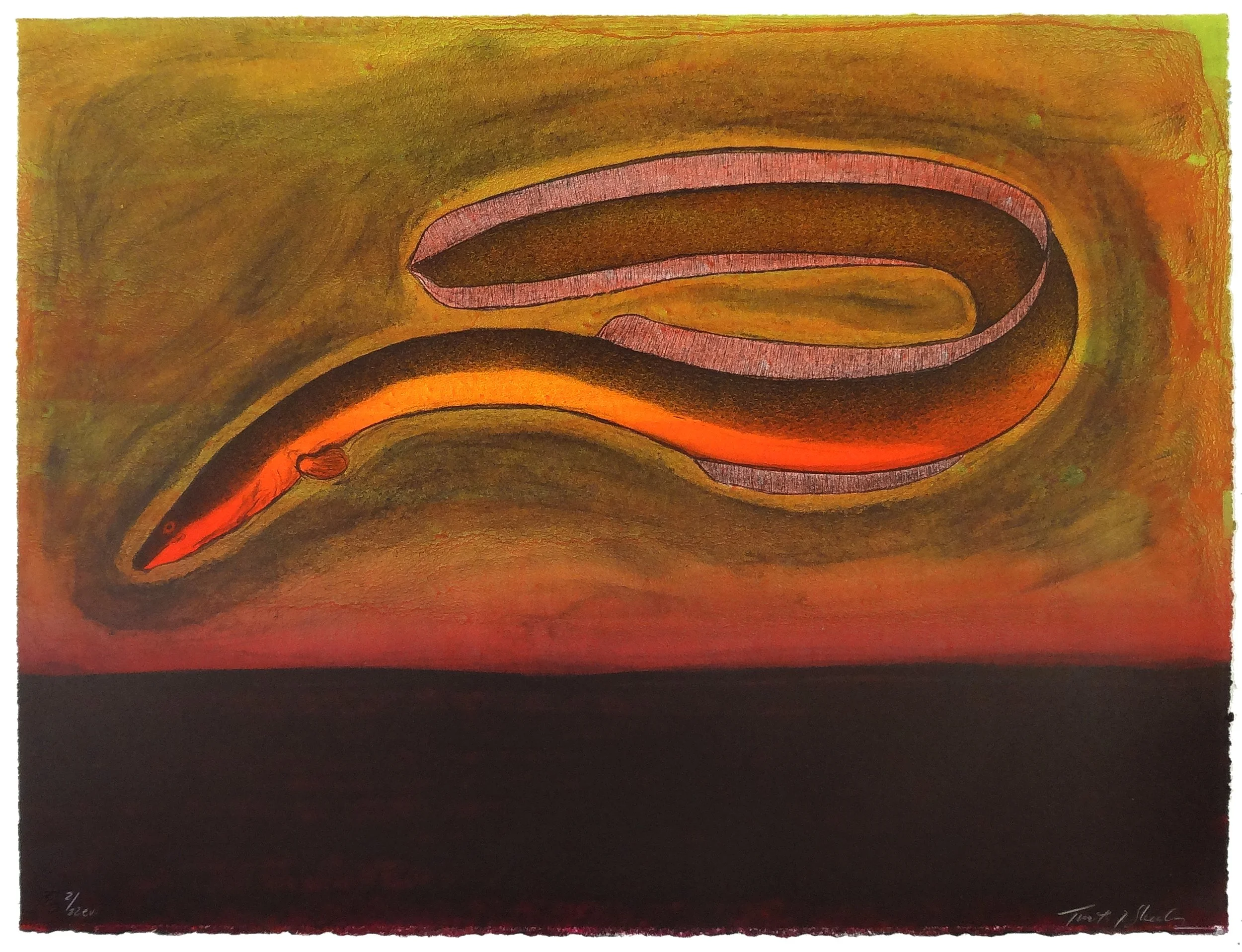 2.T.Sheesley, %22Sargasso Eel%22 2-22e.v.,lithograph,2024, 18%22x24%22.jpg