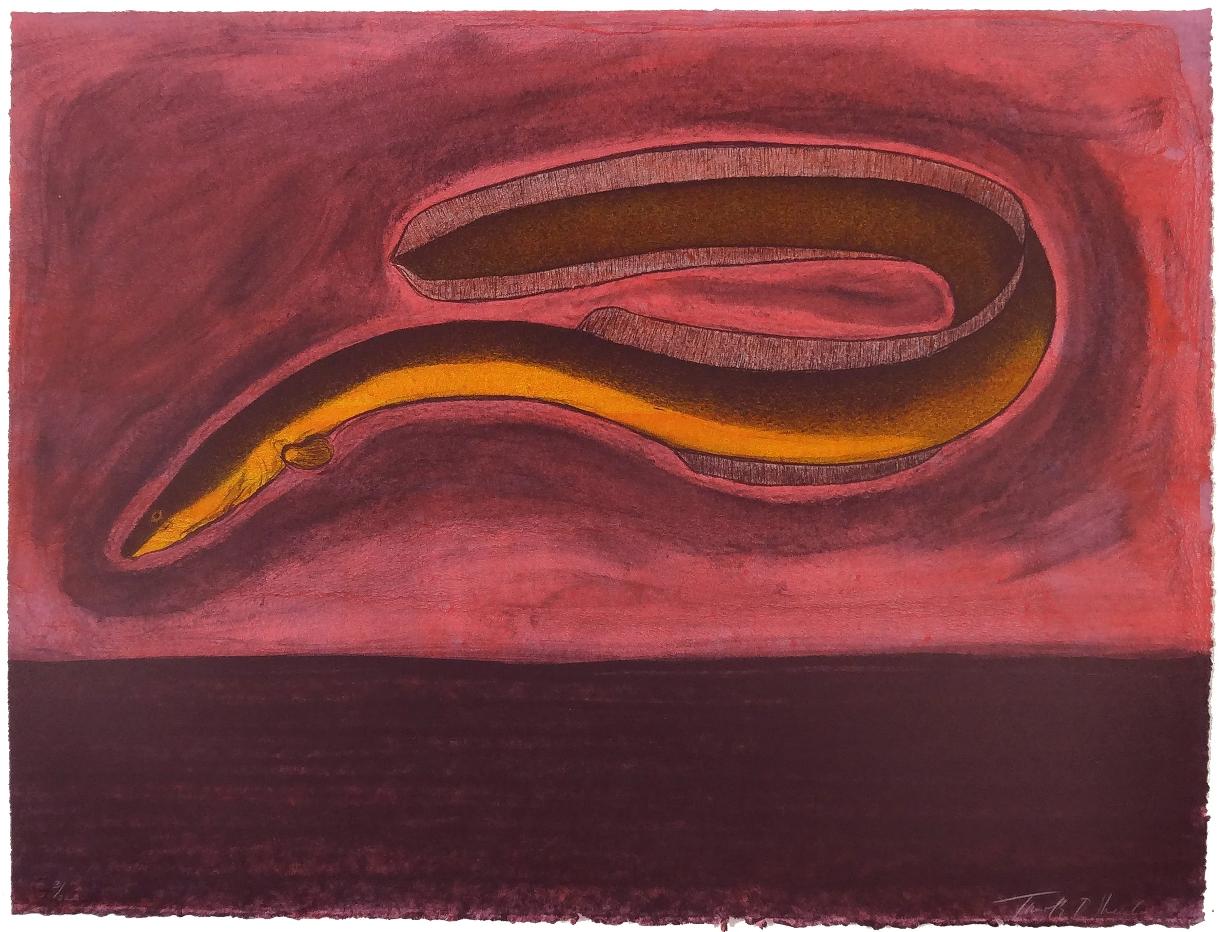 3.T.Sheesley, %22Sargasso Eel%223-22e.v.,lithograph,2024, 18%22x24%22.jpg