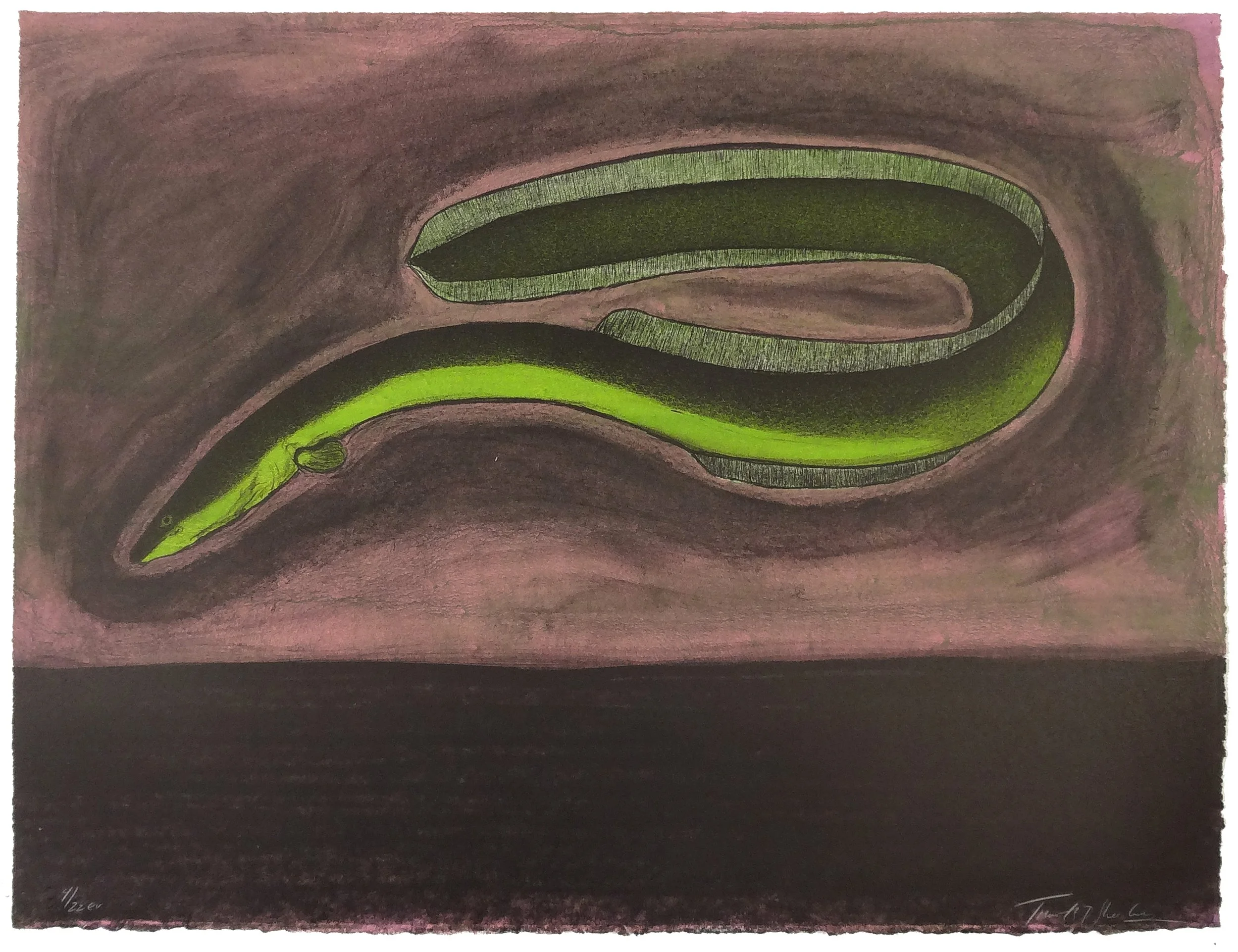 4.T.Sheesley, %22Sargasso Eel%22 4-22e.v.,lithograph,2024, 18%22x24%22.jpg