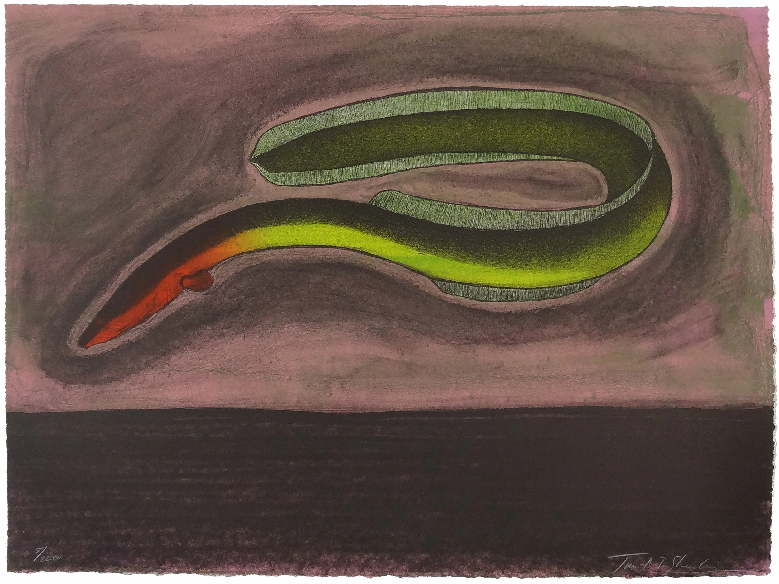 5.T.Sheesley, %22Sargasso Eel%22 5-22e.v.,lithograph,2024, 18%22x24%22.jpg