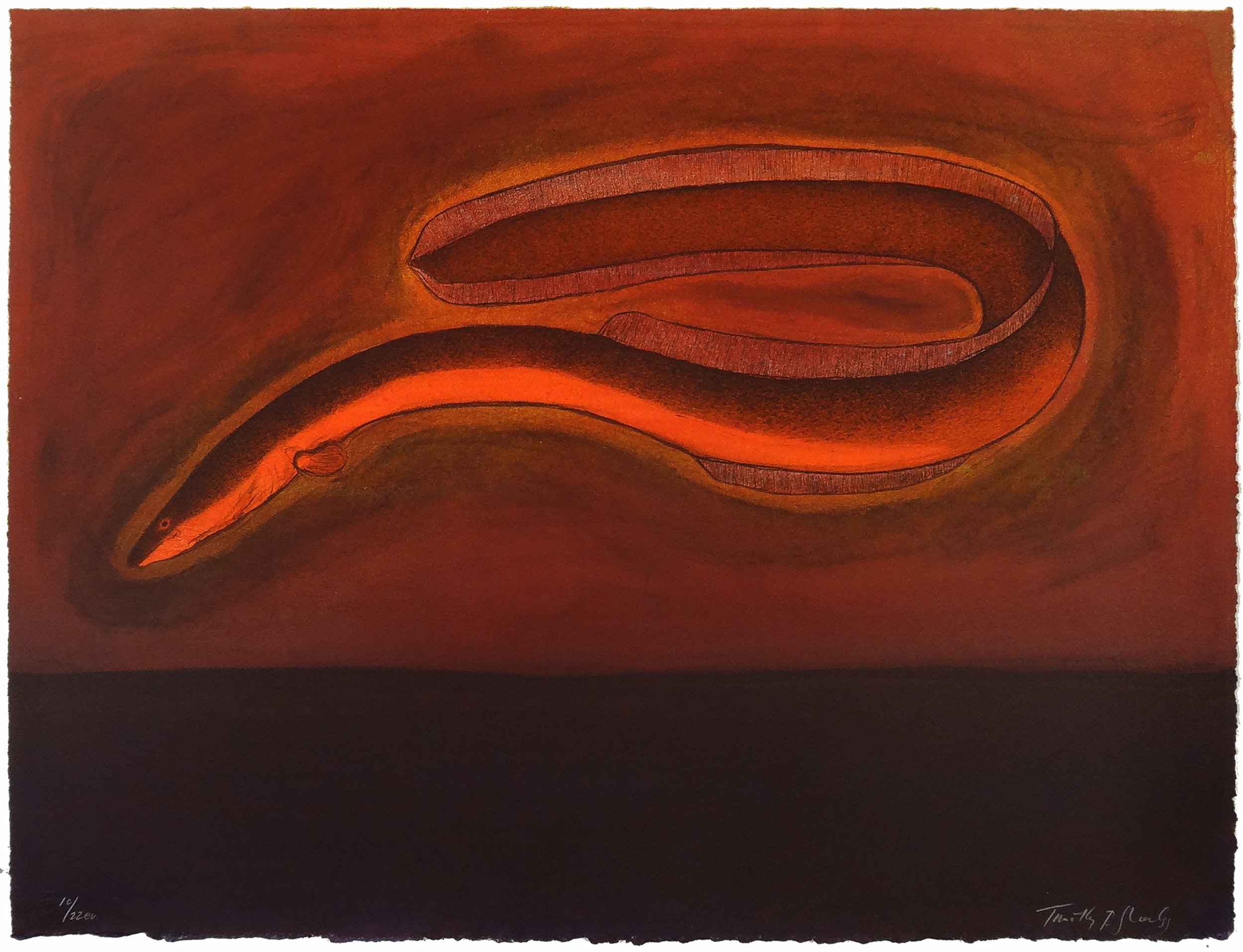 10.T.Sheesley, %22Sargasso Eel%22 10-22e.v.,lithograph,2024, 18%22x24%22.jpg