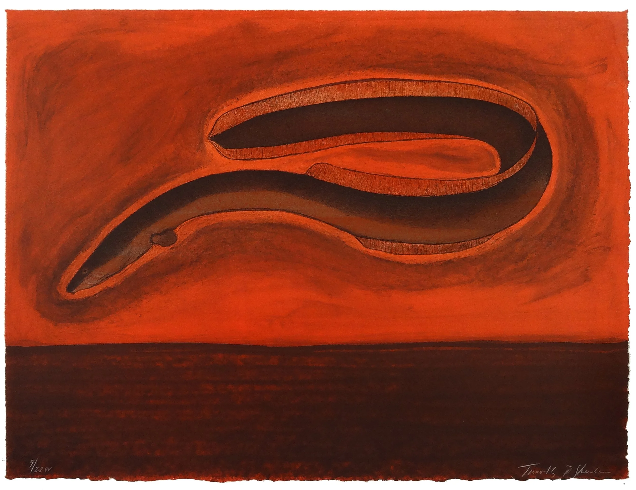 9.T.Sheesley, %22Sargasso Eel%22 10-22e.v.,lithograph,2024, 18%22x24%22.jpg