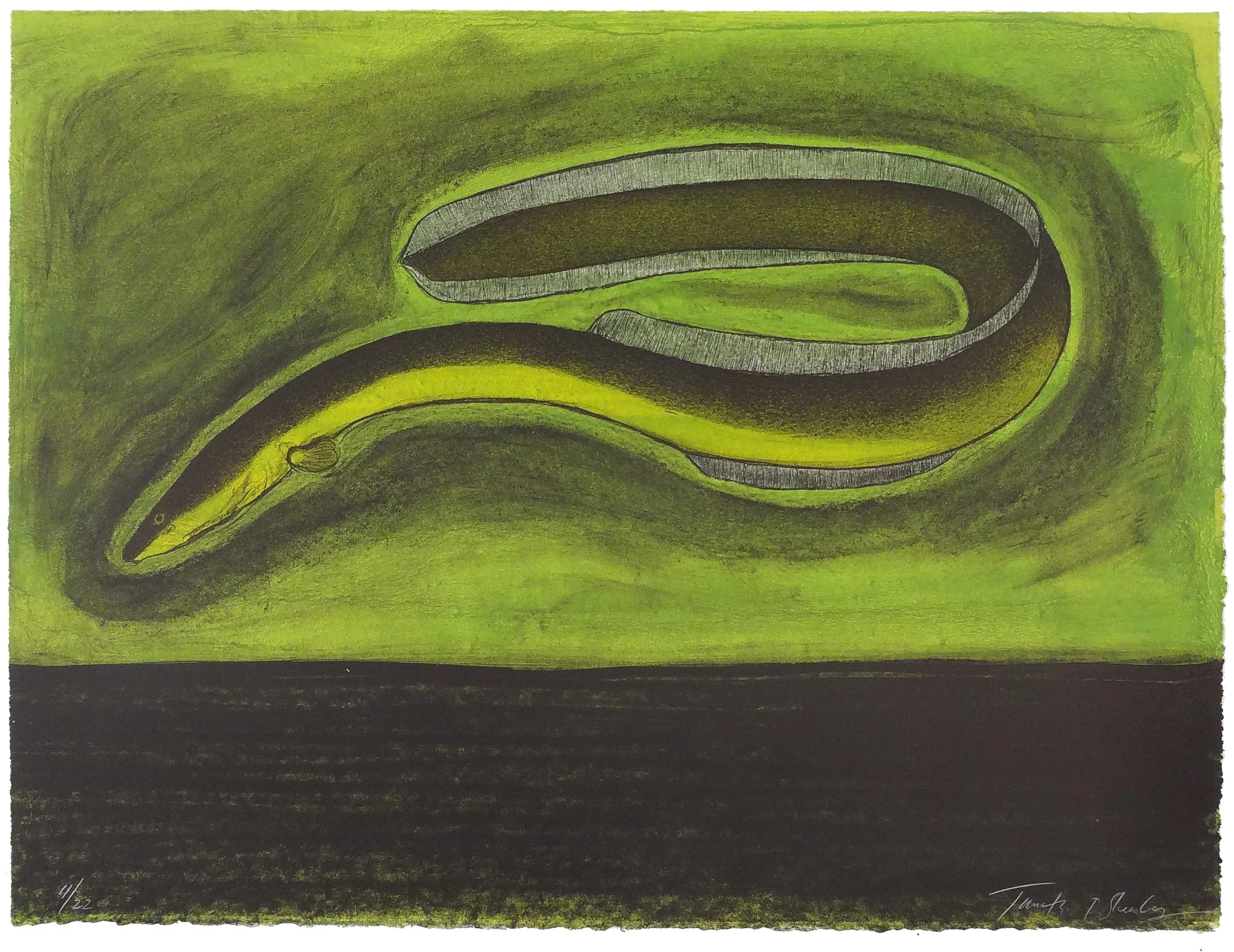 11.T.Sheesley, %22Sargasso Eel%22 11-22e.v.,lithograph,2024, 18%22x24%22.jpg