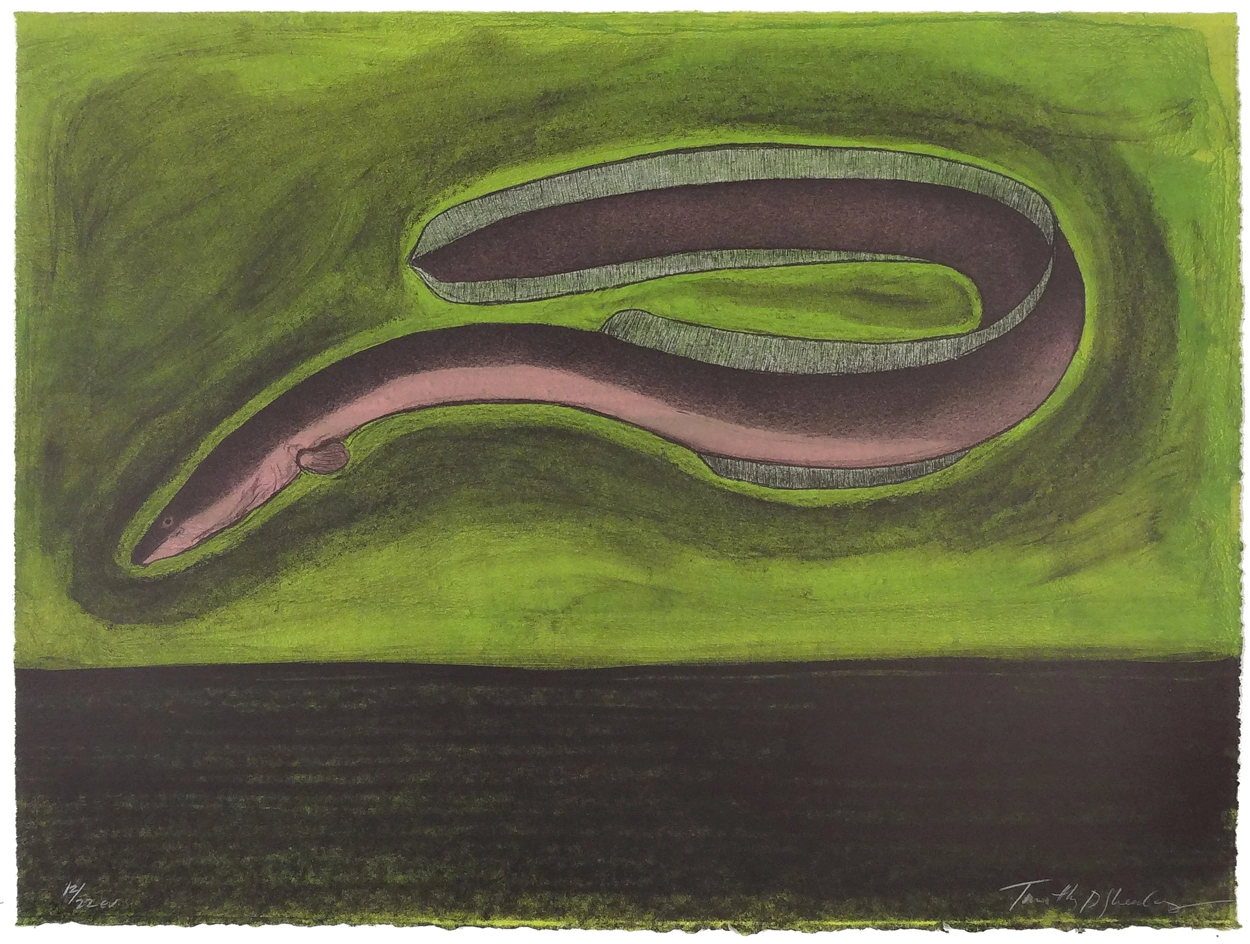 12.T.Sheesley, %22Sargasso Eel%22 12-22e.v.,lithograph,2024, 18%22x24%22.jpg