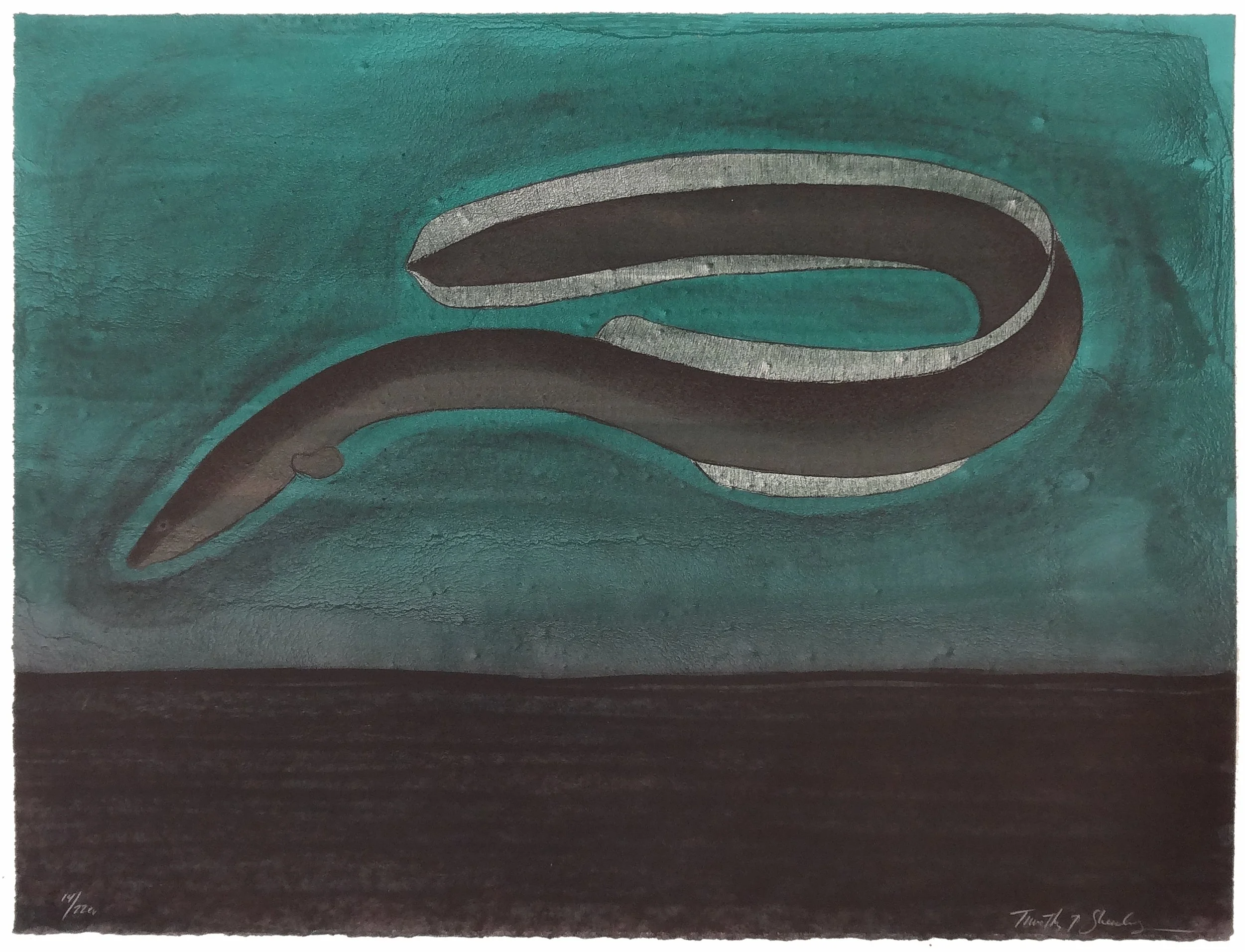 14.T.Sheesley, %22Sargasso Eel%22 14-22e.v.,lithograph,2024, 18%22x24%22.jpg