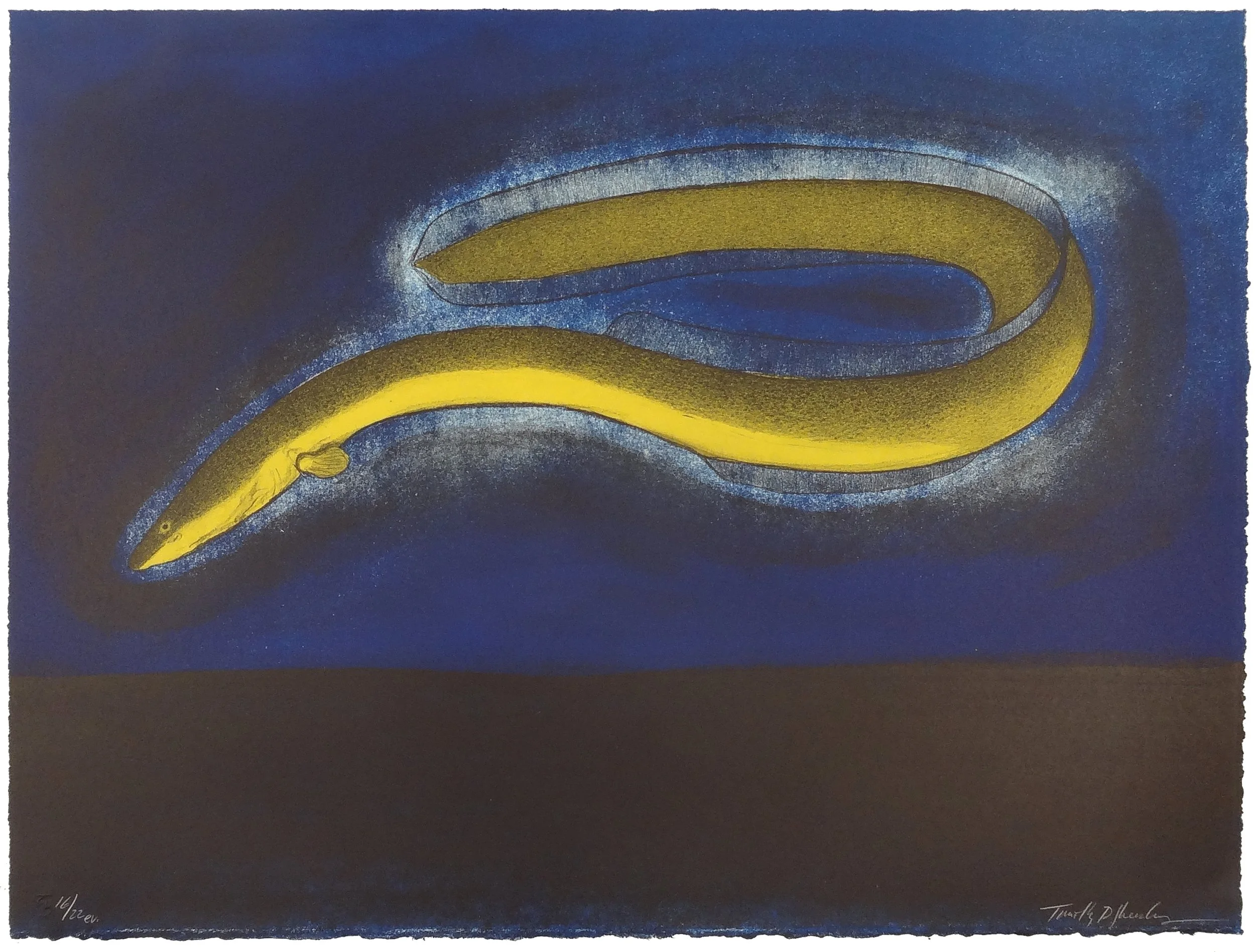 16.T.Sheesley, %22Sargasso Eel%22 16-22e.v.,lithograph,2024, 18%22x24%22.jpg