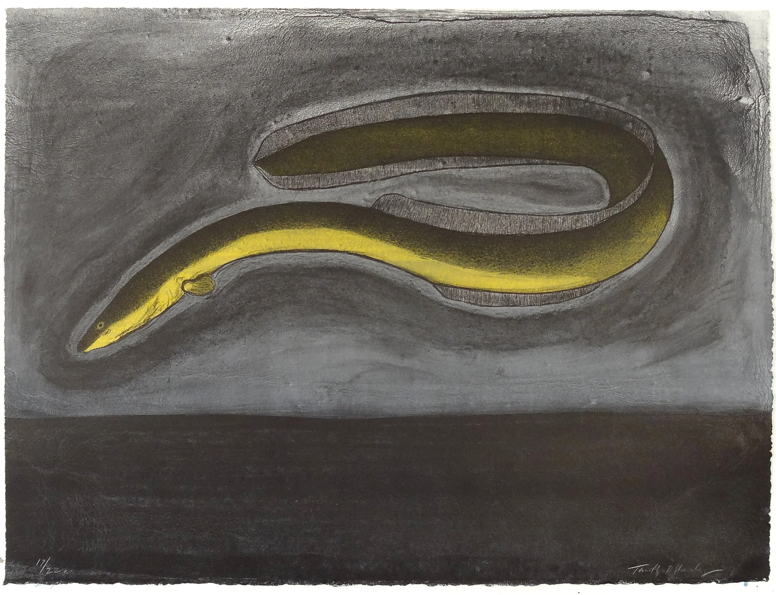 17.T.Sheesley, %22Sargasso Eel%22 17-22e.v.,lithograph,2024, 18%22x24%22.jpg