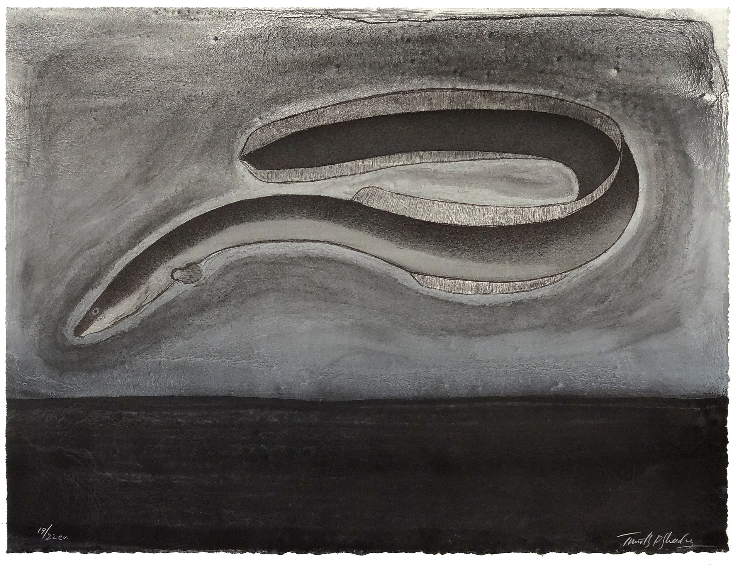 19.T.Sheesley, %22Sargasso Eel%22 19-22e.v.,lithograph,2024, 18%22x24%22.jpg