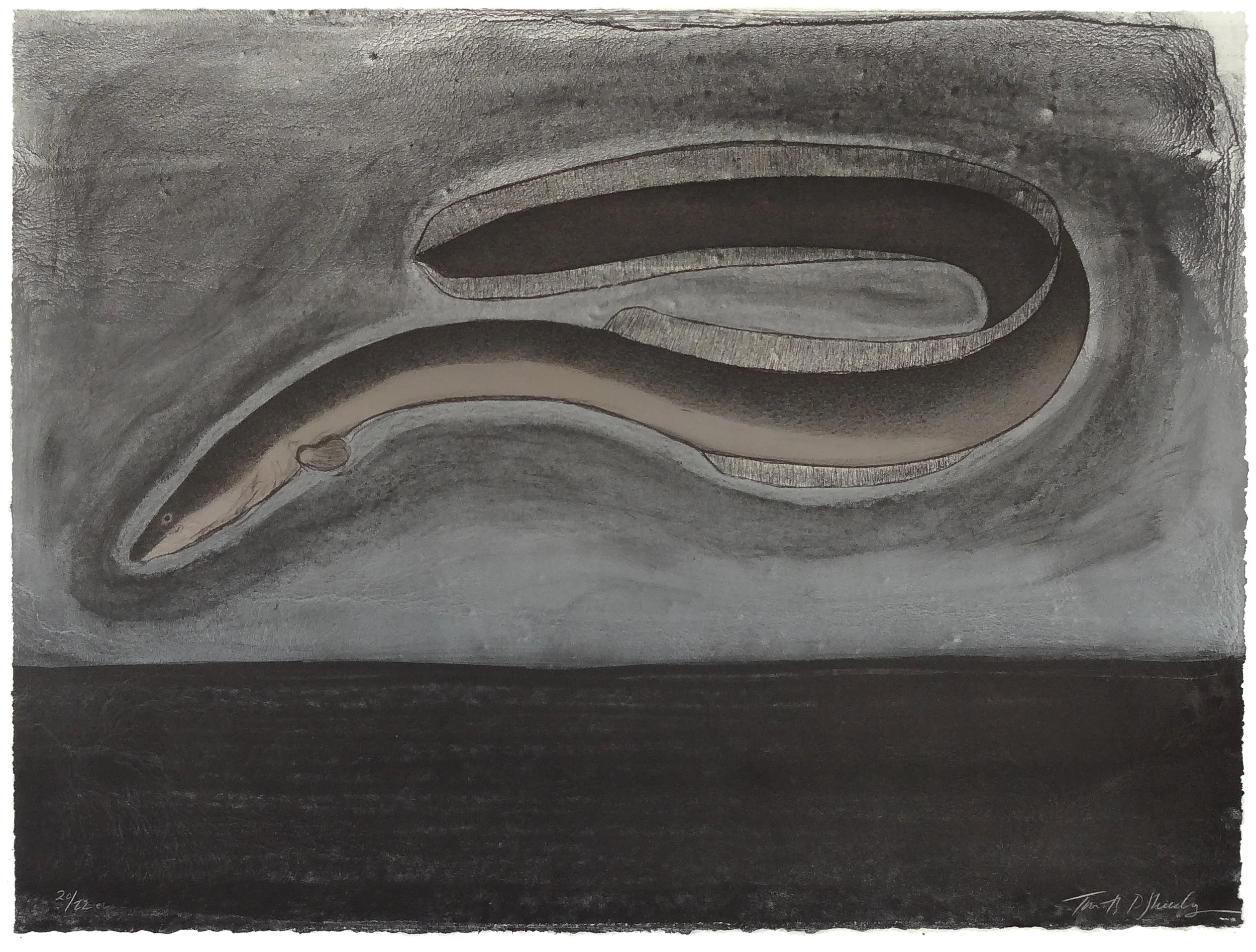 20.T.Sheesley, %22Sargasso Eel%22 20-22e.v.,lithograph,2024, 18%22x24%22.jpg